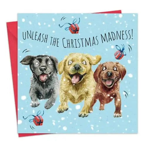 Labrador Madness - Funny Christmas Card