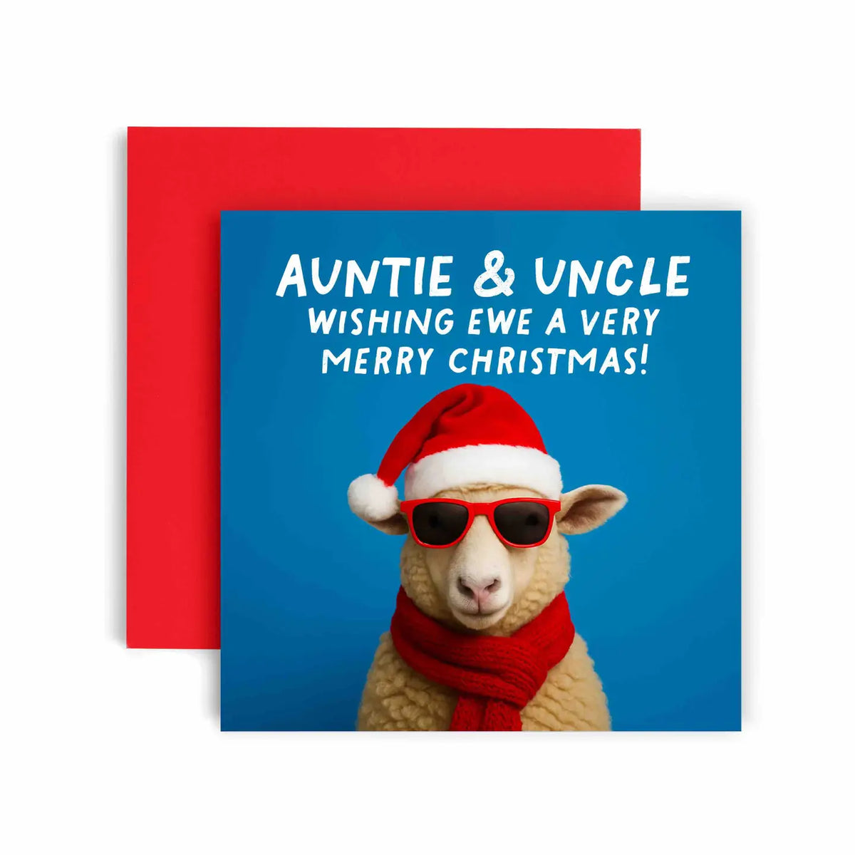 Wishing Ewe Fun Christmas Card Auntie and Uncle